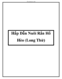 Hấp Dẫn Nuôi Rắn Hổ Hèo (Long Thừ)