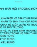 SINH THÁI MÔI TRƯỜNG RỪNG