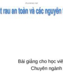 Sản xuất rau an toàn và các nguyên tắc GAP - Bài giảng cho học viên cao học Chuyên ngành Trồng trọt