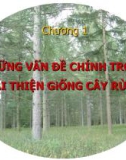 Chương 1 những vấn đề chính trong cải thiện giống cây rừng