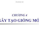 Chương 4: Gây tạo giống mới