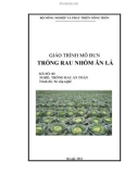 Giáo trình Trồng rau nhóm ăn lá - Nghề: Trồng rau an toàn - Nxb. Hà Nội