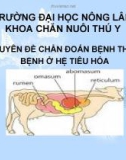 Chuyên đề chẩn đoán bệnh thú y bệnh ở hệ tiêu hóa - ĐH Nông Lâm