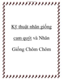 Kỹ thuật nhân giống cam quýt và Nhân Giống Chôm Chôm