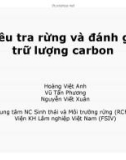 Điều tra rừng và đánh giá trữ lượng carbon - Hoàng Việt Anh