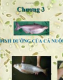 Bài giảng dinh dưỡng của cá nuôi