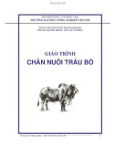 Giáo trình Chăn nuôi trâu bò: Chương mở đầu - ĐH Nông nghiệp I Hà Nội