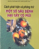 Một số sâu bệnh hại cây có múi - Cách phát hiện và phòng trừ: Phần 1