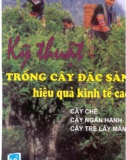 Kỹ thuật trồng cây đặc sản hiệu quả kinh tế cao - Trồng cây trên đất dốc: Phần 1