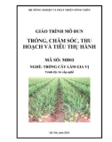 Giáo trình Trồng, chăm sóc, thu hoạch và tiêu thụ hành - MĐ03: Trồng cây làm gia vị