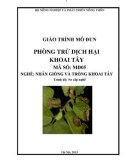 Giáo trình Phòng trừ dịch hại khoai tây - MĐ05: Nhân giống và trồng khoai tây