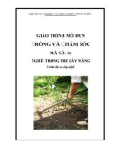 Giáo trình Trồng và chăm sóc - MĐ03: Trồng tre lấy măng