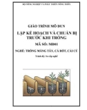 Giáo trình Lập kế hoạch và chuẩn bị trước trồng - MĐ01: Trồng măng tây, cà rốt, cải củ