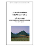 Giáo trình Trồng cây dứa - MĐ03: Trồng dứa (khóm, thơm)