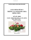 Giáo trình Trồng và chăm sóc hoa đồng tiền - MĐ03: Trồng hoa huệ, lay ơn, đồng tiền, hồng môn