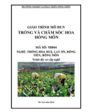 Giáo trình Trồng và chăm sóc hoa hồng môn - MĐ04: Trồng hoa huệ, lay ơn, đồng tiền, hồng môn