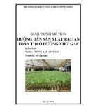 Giáo trình Hướng dẫn sản xuất rau an toàn theo hướng Viet GAP - MĐ01: Trồng rau an toàn