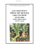 Giáo trình Phòng trừ dịch hại cho cây chuối - MĐ04: Trồng chuối