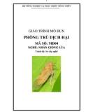 Giáo trình Phòng trừ dịch hại - MĐ04: Nhân giống lúa