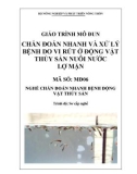 Giáo trình Chẩn đoán nhanh và trị bệnh do vi rút ở động vật thủy sản nuôi nước lợ mặn - MĐ06: Chẩn đoán nhanh bệnh động vật thủy sản