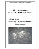 Giáo trình Nuôi cá chim vây vàng - MĐ06: Nuôi cá lồng bè trên biển