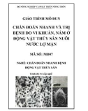 Giáo trình Chẩn đoán nhanh và trị bệnh do vi khuẩn, nấm ở động vật thủy sản nuôi nước lợ mặn - MĐ07: Chẩn đoán nhanh bệnh động vật thủy sản