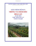 Giáo trình Trồng và chăm sóc hoa lan - MĐ03: Trồng hoa lan