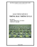 Giáo trình Trồng rau nhóm ăn lá - MĐ03: Trồng rau an toàn