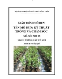 Giáo trình Kỹ thuật trồng và chăm sóc - MĐ03: Trồng cây có múi