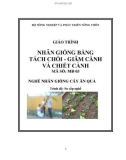 Giáo trình Nhân giống bằng tách chồi, giâm cành và chiết cành - MĐ03: Nhân giống cây ăn quả