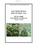 Giáo trình Bảo vệ thực vật - MĐ05: Trồng cây bông vải