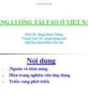 Bài giảng Năng lượng tái tạo ở Việt Nam - PGS.TS. Đặng Đình Thống