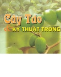 Kỹ thuật trồng Cây táo: Phần 1