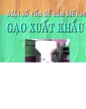 Những điều cần biết về gạo xuất khẩu: Phần 1