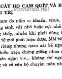 Biện pháp phòng trừ sâu bệnh hại cây họ cam quýt: Phần 2