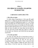 Cách phòng chống các bệnh do vi khuẩn, Chlamydia và Rickettsia từ động vật lây sang người: Phần 2