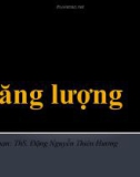 Bài giảng Năng lượng - ThS. Đặng Nguyễn Thiên Hương