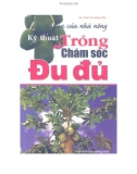 Kỹ thuật trồng và chăm sóc đu đủ - Bạn của nhà nông: Phần 1