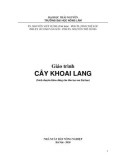 Giáo trình Cây khoai lang: Phần 1