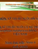 Kinh nghiệm nuôi cá mú đen chấm đen bằng lồng ở Việt Nam