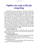 Nghiên cứu nuôi cá Rô phi trong lồng