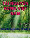 Tài nguyên rừng ở Việt Nam