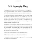 Mắt đẹp ngày đông