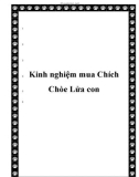 Kinh nghiệm mua Chích Chòe Lửa con