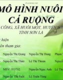 Mô hình nuôi cá ruộng