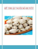 KỸ THUẬT NUÔI SÒ HUYẾT