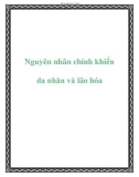 Nguyên nhân chính khiến da nhăn và lão hóa