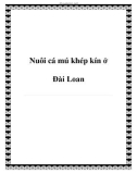 Nuôi cá mú khép kín ở Đài Loan