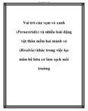 Vai trò của vẹm vỏ xanh và nhiều loài động vật thân mềm hai mảnh vỏ (Bivalvia) khác trong việc lọc mùn bã hữu cơ làm sạch môi trường