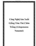 Công Nghệ Sản Xuất Giống Tôm Thẻ Chân Trắng (Litopenaeus Vanamei)